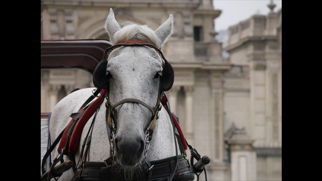 Dapatkan Inspirasi - LUMIX G Lens H-FS45150